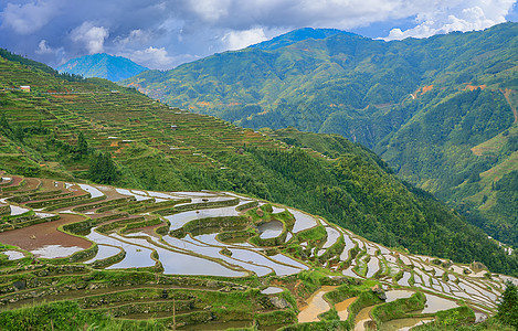 贵州梯田加榜梯田背景