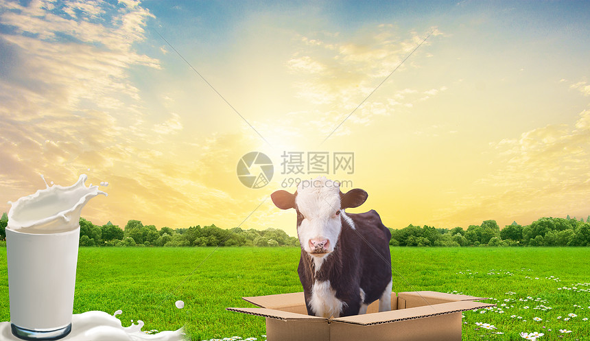世界牛奶日图片