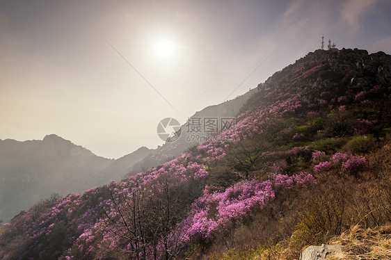 大连大黑山日出图片