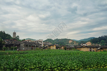 福建永定土楼细节图图片