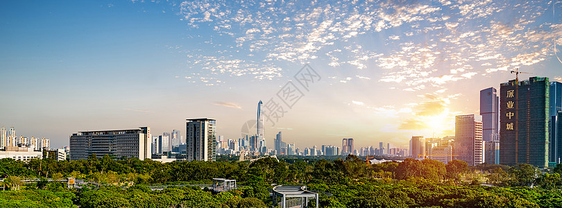 延时夜景深圳香蜜公园背景