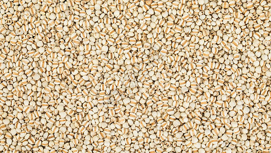 赤小豆薏米薏米薏仁背景