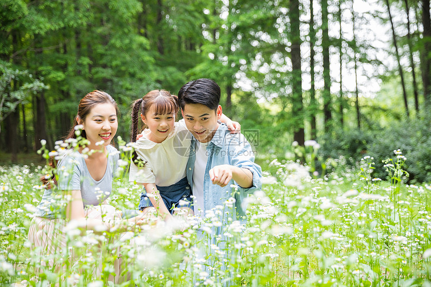 一家人花丛中欣赏图片