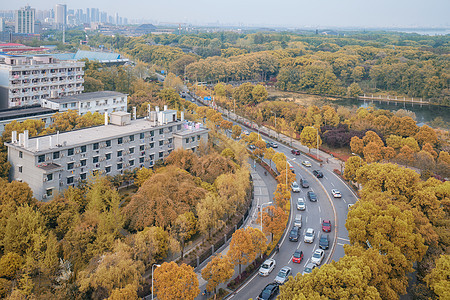 俯瞰城市秋天的道路图片