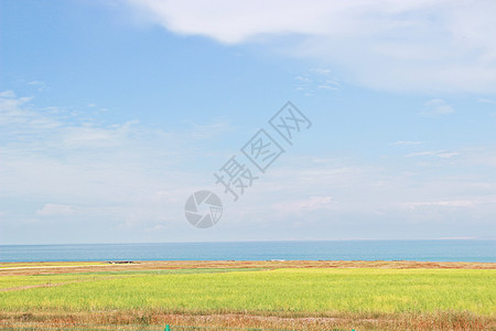 青海湖旷野唯美高清图片