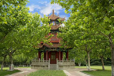 男古代风素材牡丹阁背景