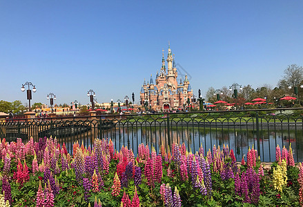 上海迪士尼城堡图片