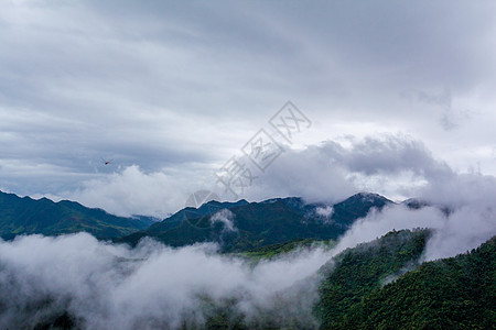 山峦云海云雾背景图片