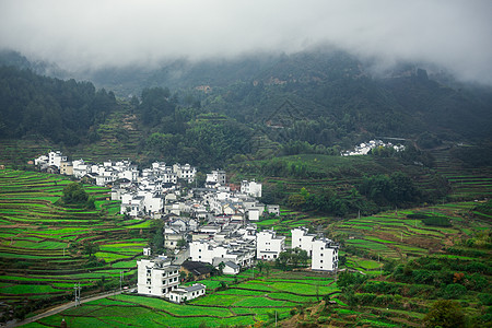 田园插画安徽烟雨村落背景