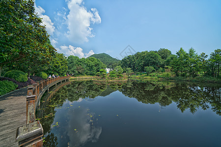 滨水绿化武汉小九寨沟木兰天池的水背景