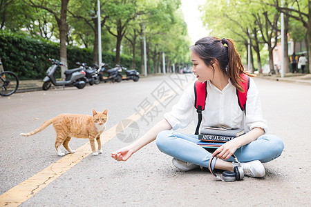 毕业季青春学生和猫高清图片