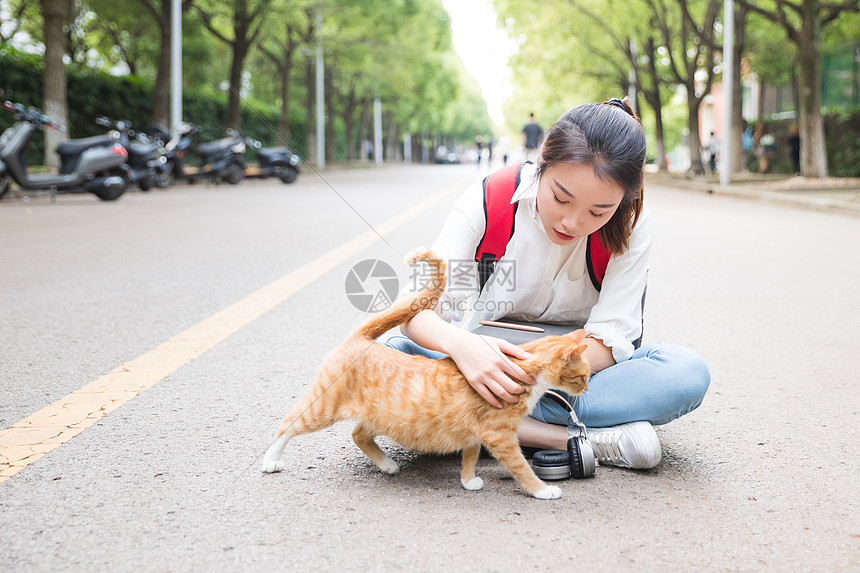 毕业季青春学生和猫图片