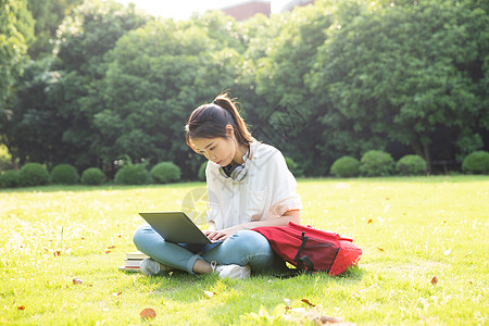 青春大学生草地上学习高清图片