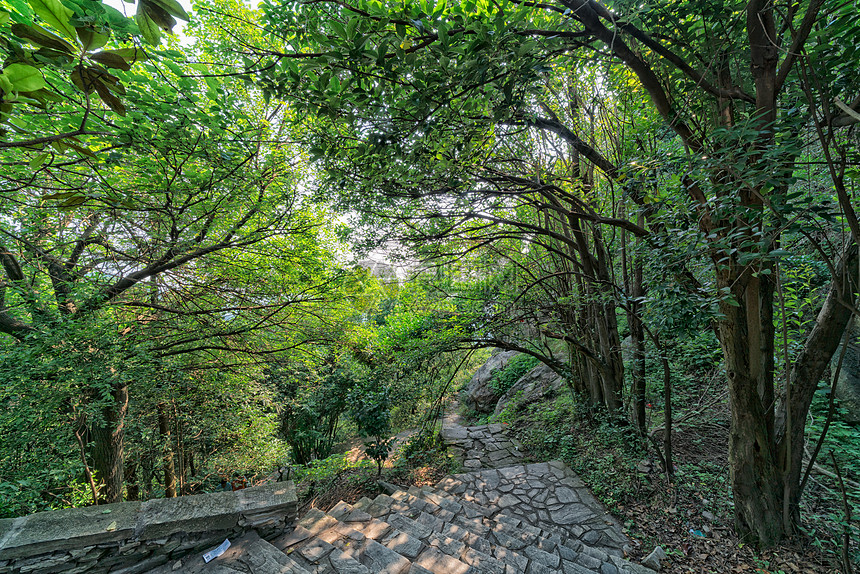 武汉避暑胜地木兰山上山的路图片