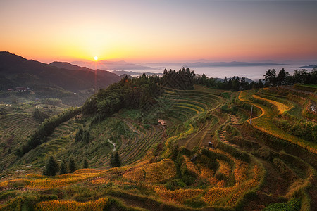 小山村梯田日出背景