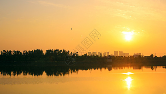 夏日晨光夏季早晨高清图片