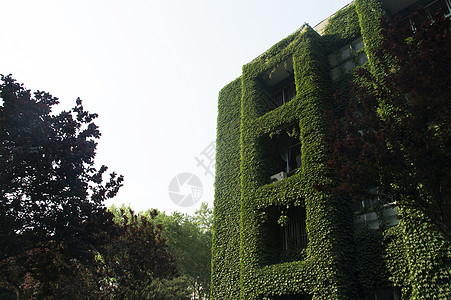 秦皇岛燕山大学校园背景