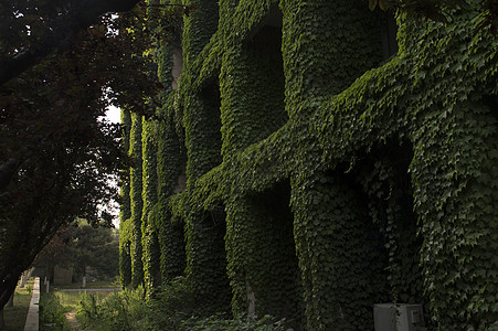 秦皇岛燕山大学校园背景