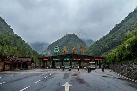 云雾缭绕的山神农架大九湖景区入口背景