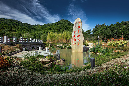 野生动植物绿水青山就是金山银山背景