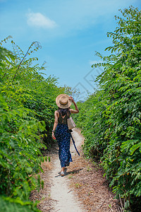 女孩旅游度假女性背景