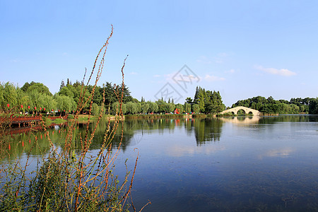 遗爱湖一景江苏常熟尚湖夏景背景