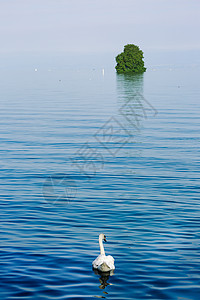 湖光山色瑞士自然风光背景图片