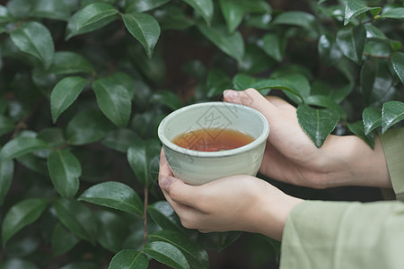 手捧茶杯图片