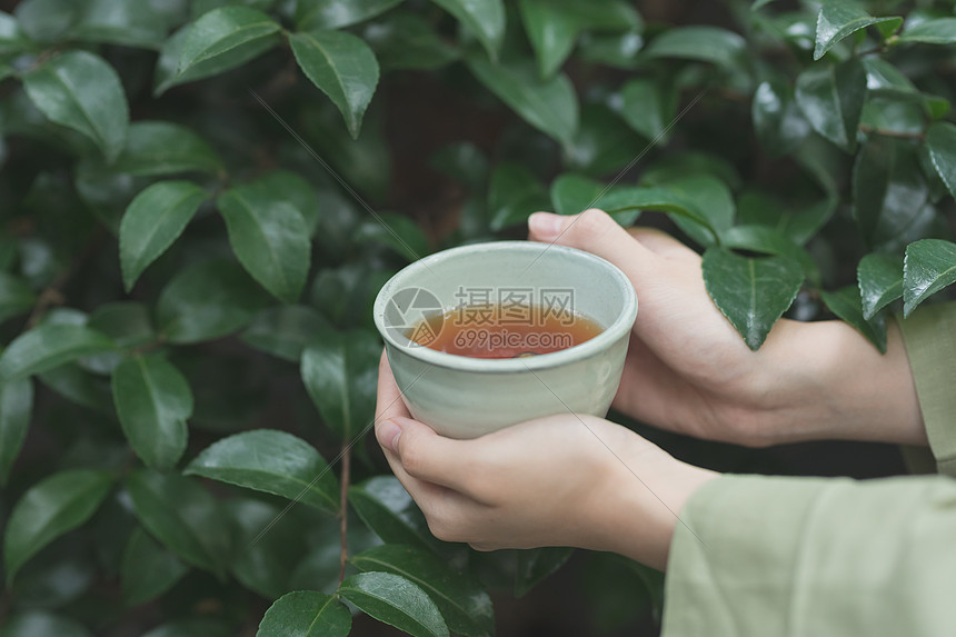 手捧茶杯图片