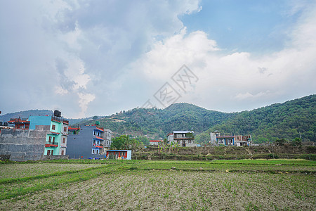 尼泊尔博卡拉乡村田野背景