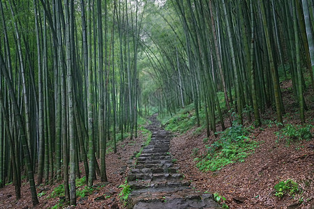 绍兴诸暨五泄景区背景