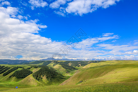 康乐草原夏季草原风光背景