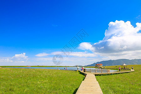 康乐草原夏季草原风光背景