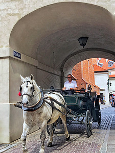 波兰首都华沙老城游览马车图片