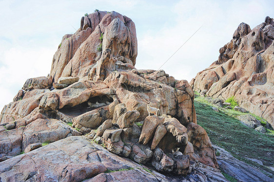 新疆可可托海镇的恐龙化石山图片