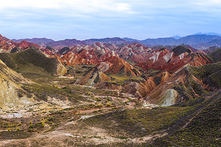 七彩山鸡十月金秋张掖七彩丹霞背景