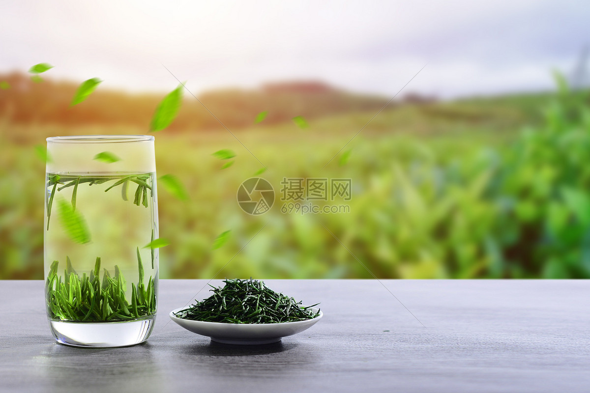 君正老白茶