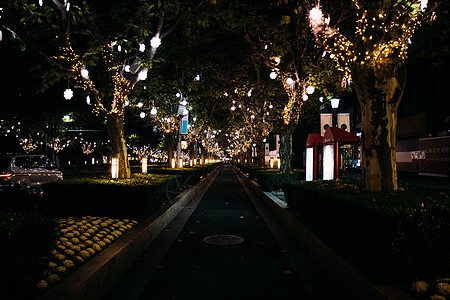 公园夜景城市夜景背景