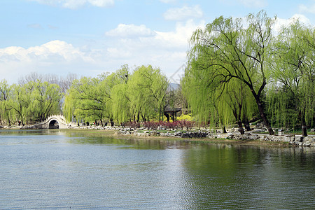 圆明园内风景北京圆明园遗址公园背景