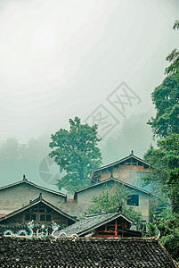 静逸贵州侗寨树林背景