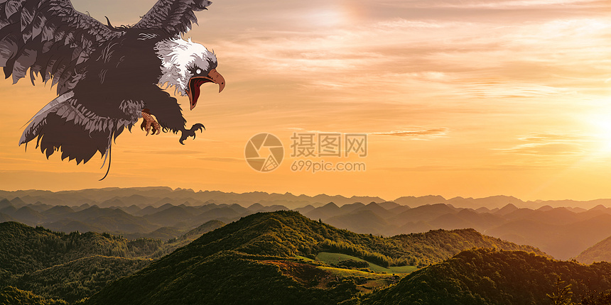 雄鹰