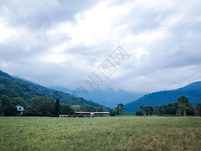 台湾纵谷线瑞穗牧场图片