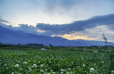 丽江洱海大理花海背景