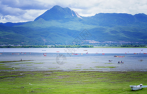 花海骑行丽江拉市海风景背景