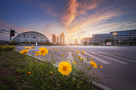 沂水县沂水火车站路口边鲜花图片