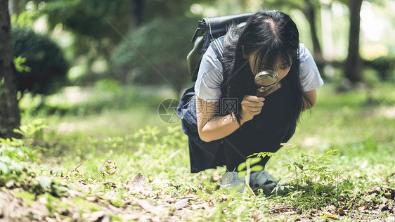 树林中的小清新美女图片