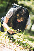 树林中的小清新美女图片