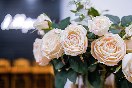 盛放的白色玫瑰花图片