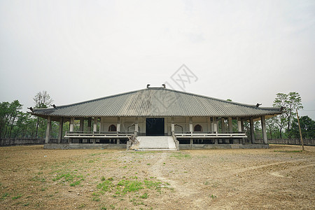 蓝毗尼日本寺庙尼泊尔蓝毗尼日本庙背景