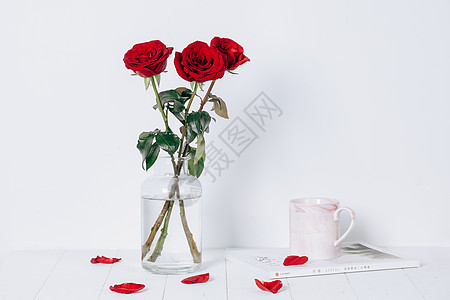 玫瑰花花瓶七夕情人节玫瑰花卉背景